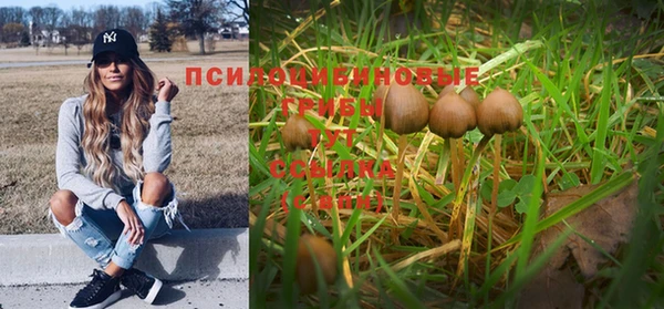 сатива Вязники