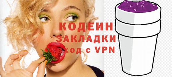 apvp Вяземский
