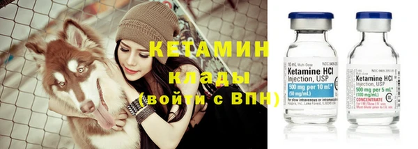 apvp Вяземский