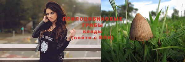 apvp Вяземский