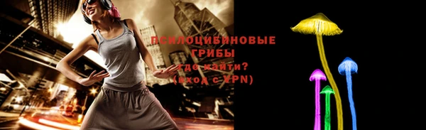 apvp Вяземский