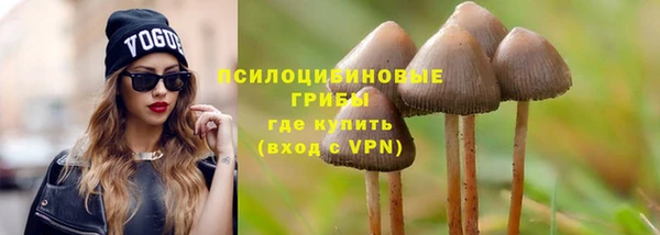 сатива Вязники