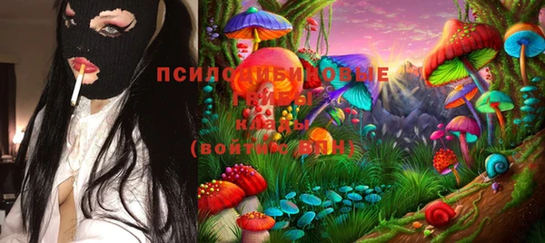 сатива Вязники