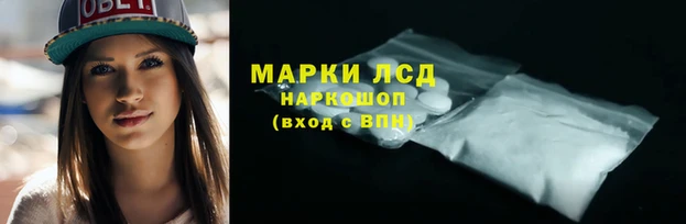 apvp Вяземский