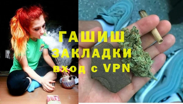 apvp Вяземский