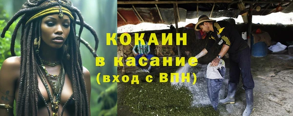 apvp Вяземский