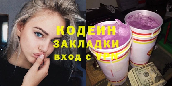 apvp Вяземский