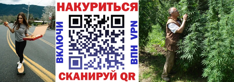 Купить закладки  Петрозаводск  Канабис сатива 
